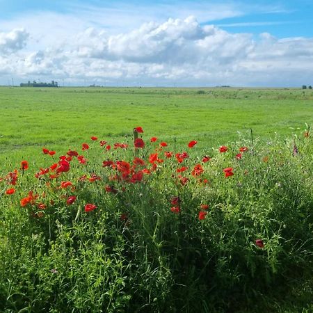 Lyklamastate Nijemirdum Экстерьер фото