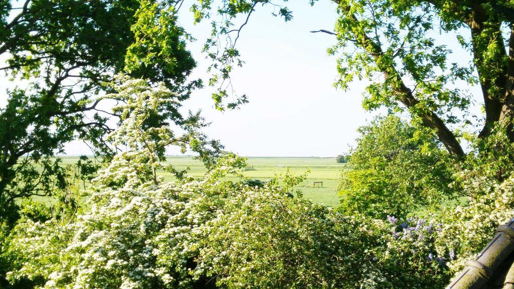 Lyklamastate Nijemirdum Номер фото